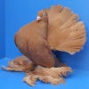 Снимка на новина