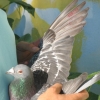 Снимка на новина