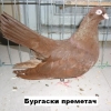 Снимка на новина