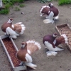 Снимка на новина