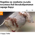 Снимка на новина
