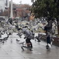 Снимка на новина